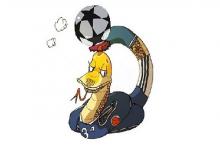 2001年屬蛇人2020年運勢男性01蛇男今年每月運勢