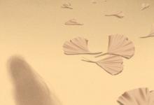 早上兩點(diǎn)多是什么時(shí)辰 出生運(yùn)勢(shì)好嗎