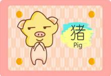 男孩名字大全2019屬豬免費(fèi)