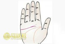 分叉的感情線有什么寓意