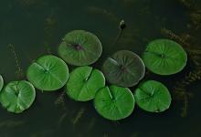 女人面相大鼻子 鼻子大的女人面相命運(yùn)