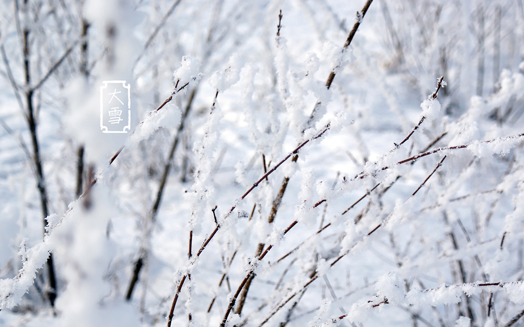 2019年大雪節氣出生女孩五行缺火的活潑可愛名字精選(圖文)