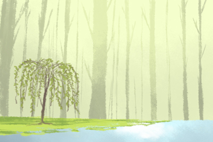 腰上有痣的女人一生的運(yùn)勢(shì)如何(圖文)