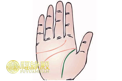 你知道生命線是哪條線嗎(圖文)