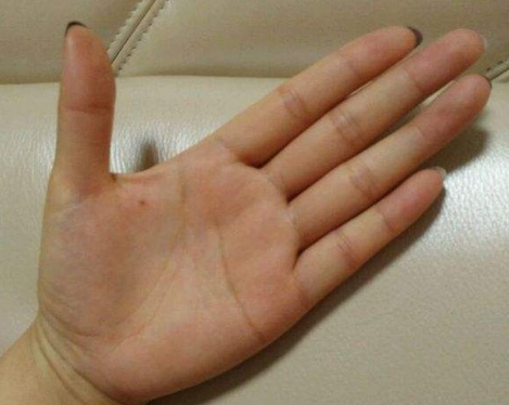 手相學視頻