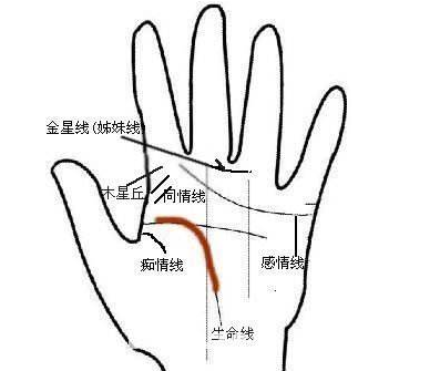 手相學(xué)