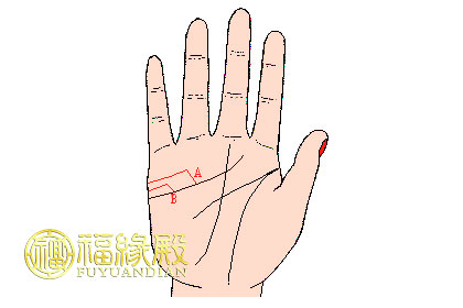 手相婚姻線大全圖解(圖文)