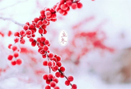 2019年立冬出生的人命數(shù)和運(yùn)勢(shì),立冬不同時(shí)辰出生命理!(圖文)