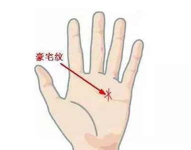 有大財的手紋
