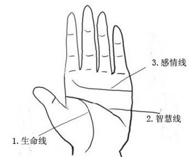 手紋