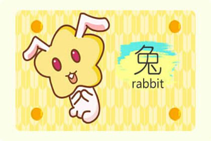 屬兔生鼠寶寶好嗎 運勢怎么樣(圖文)