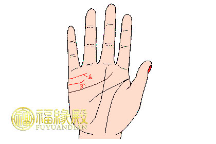 手相婚姻線大全圖解(圖文)
