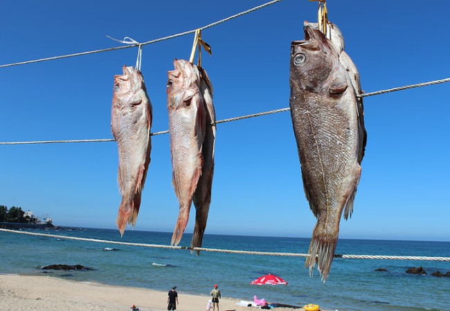 夢見自己抓魚是什么兆頭 夢見自己抓魚有什么預兆