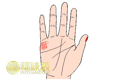 手相婚姻線大全圖解(圖文)