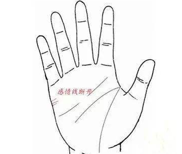 手相感情線
