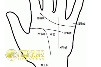 男人的事業線代表著什么(圖文)