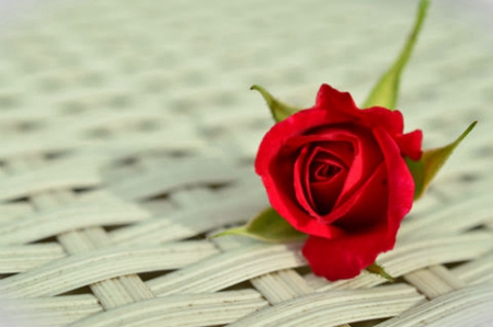 2019年農歷十一月有多少天,2019年冬月結婚吉日推薦！(圖文)
