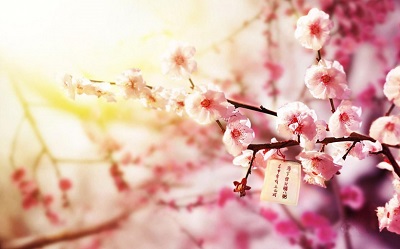2019年十二月初八日臘八節(jié)是裝修吉日嗎？(圖文)