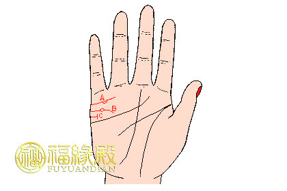 手相婚姻線大全圖解(圖文)