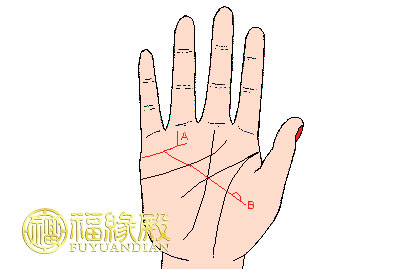 手相婚姻線大全圖解(圖文)