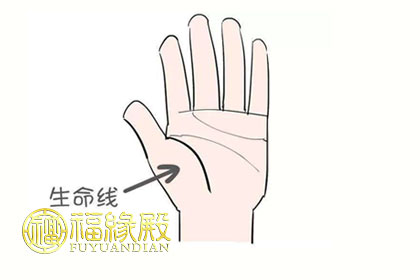 生命線分叉好不好(圖文)