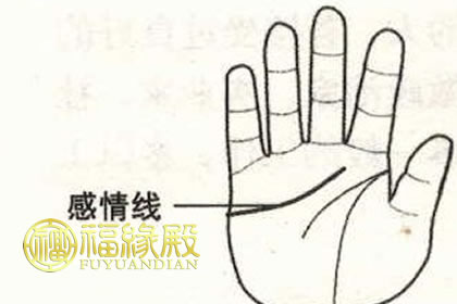 感情線過長代表什么(圖文)