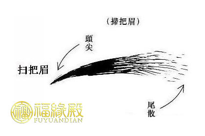 掃把眉的男人命運好不(圖文)