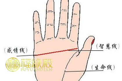 手掌紋斷掌運氣怎樣(圖文)