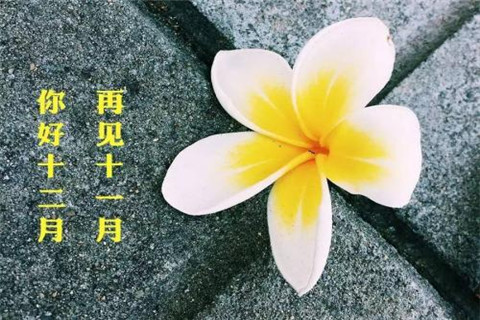 陰歷十二月是什么屬相 月份與生肖關系解讀！(圖文)