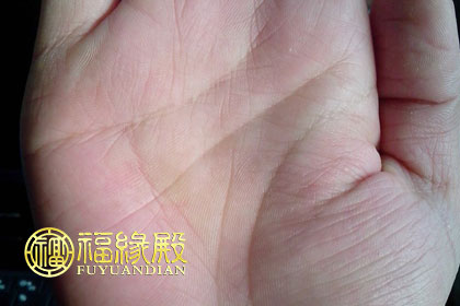 川字掌的女人性格和命運如何(圖文)