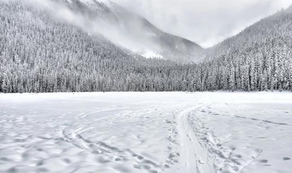2019年大雪前一天是納采訂婚吉日嗎,大雪倒計時幾天2019(圖文)
