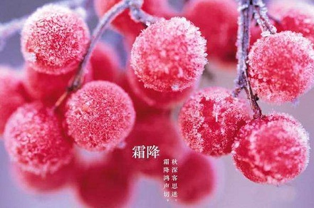 2019年霜降出生出自詩經的唯美女孩名字大全(圖文)