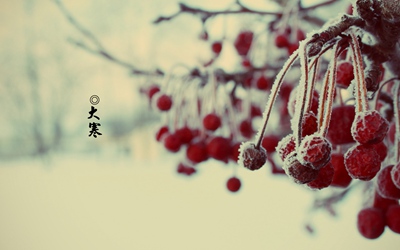 2019年臘月廿六日大寒是吉日嗎？大寒有什么習俗？(圖文)