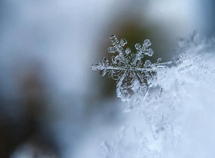 2019年大雪前一天辦酒席結婚不好嗎,大雪節氣祝福語2019(圖文)
