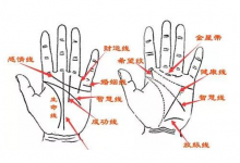 男人左手手相各種解析，這幾類人最容易在事業(yè)上取得成功