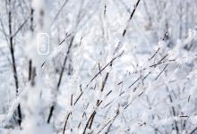 2019年大雪節氣出生女孩五行缺火的活潑可愛名字精選
