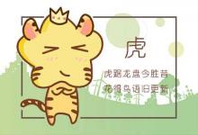女虎跟什么屬相配嗎 男生屬狗屬豬屬馬都不錯