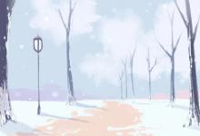 文竹擺放禁忌 植物風(fēng)水?dāng)[放詳解