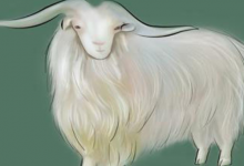 屬羊人未來5年運勢走向,健康欠佳