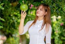 96年生肖鼠運程如何