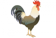 1993屬雞一生有二婚