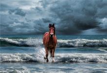 90年馬男2020運勢