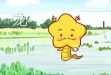 龍和雞屬相合不合 是三合生肖