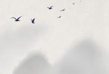 2019年立冬當天適合二手房搬家嗎,距離2019年立冬還有幾天？