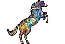 屬馬2020年沖太歲如何轉運