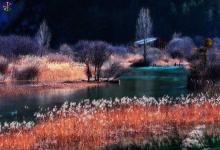 姓聞人的名人有哪些？