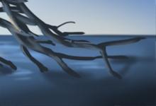 為什么身上會(huì)長(zhǎng)紅痣