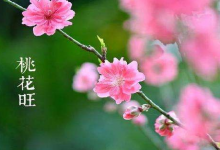 八字算命-桃花運要來的征兆有哪些