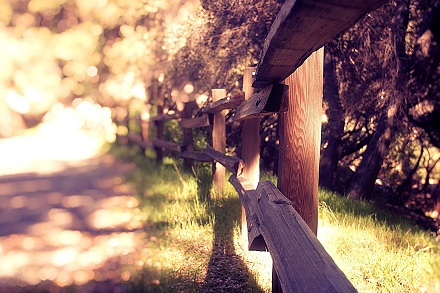 2019年小雪出生萌萌的寶寶100分乳名小名(圖文)