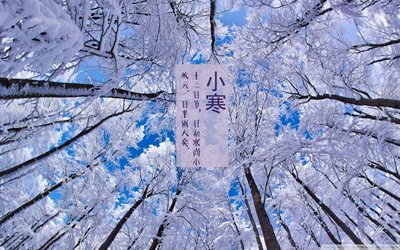 男孩小寒節(jié)氣出生命好嗎？2020年小寒節(jié)氣是哪天？(圖文)